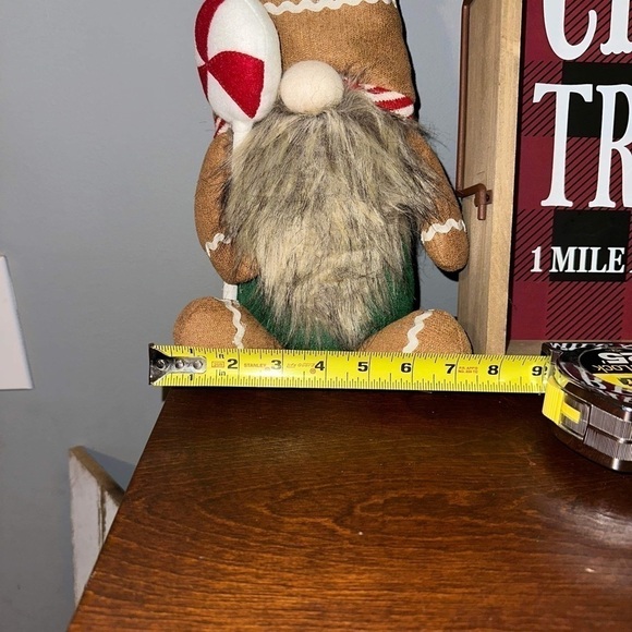 NWT PEPPERMINT SQUARE GINGERBREAD MAN GNOME WITH PEPPERMINT DETAIL - Picture 7 of 9